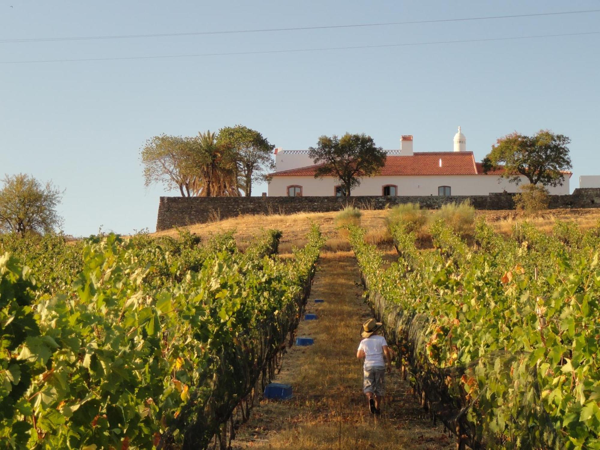 Herdade Do Vau Vendégház Serpa Kültér fotó